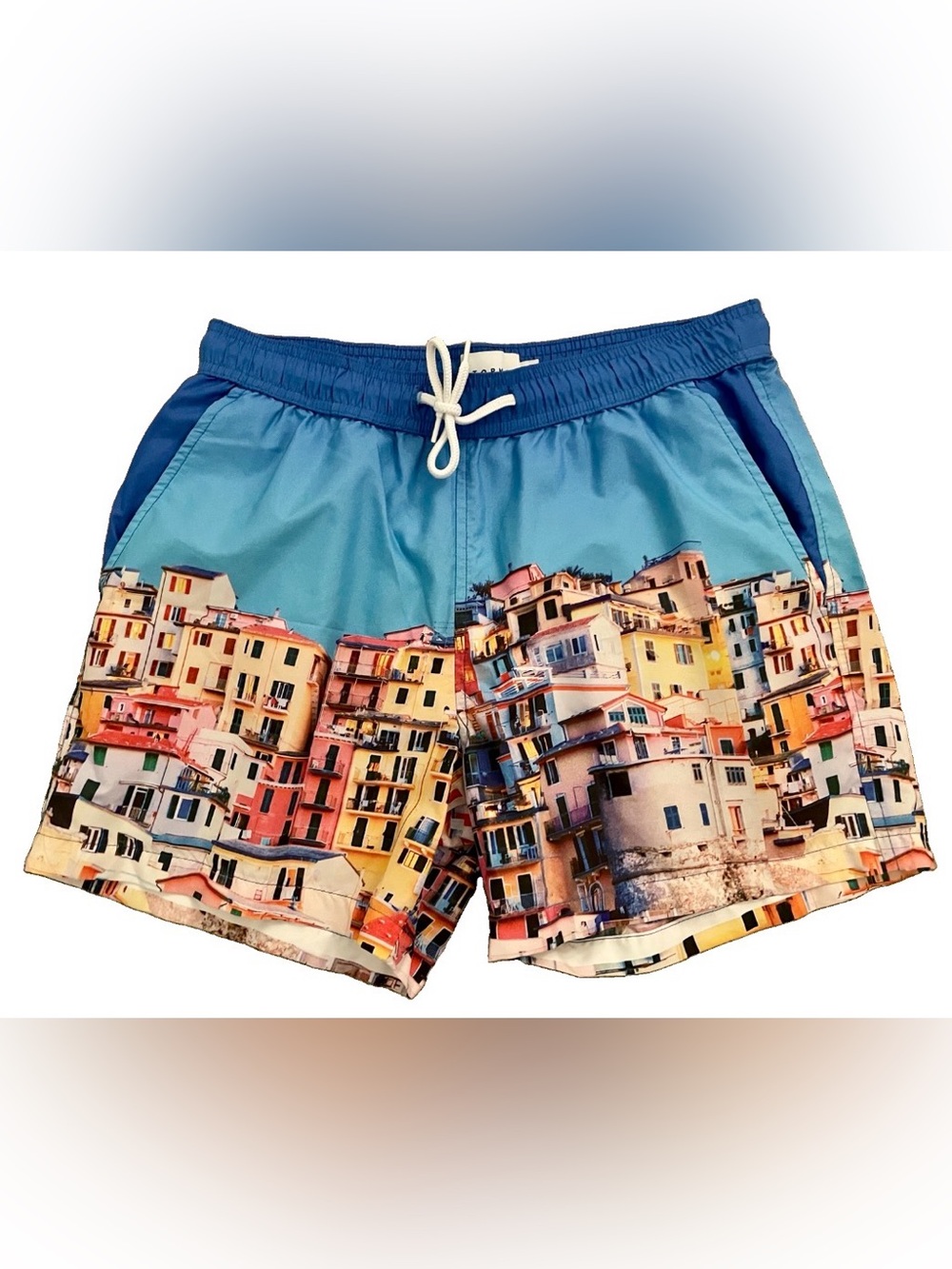 TOPMAN Unique CINQUE TERRE Italy Print SWIM TRUNKS Size Small